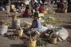 Sunshine - Market Lasso, 1991