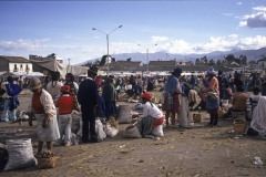 Market - Lasso 1991