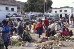 True Colours - Market Lasso, 1991