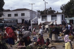 Market Lasso 1991