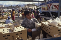 Market - Lasso 1991