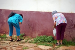 What are you looking for? - Minas Gerais 2007